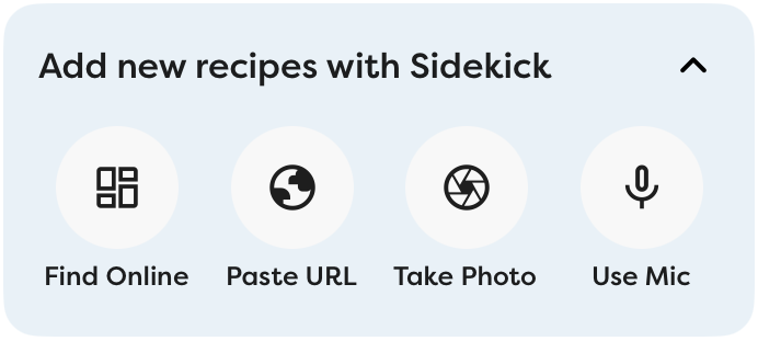 Sidekick icon bar, showing buttons for Find Online, Paste URL, Take Photo, and Use Mic.