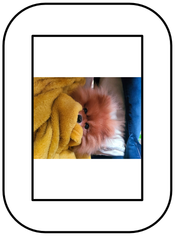 Diagram showing a Frame in portrait mode with a photo in an incorrect orientation.