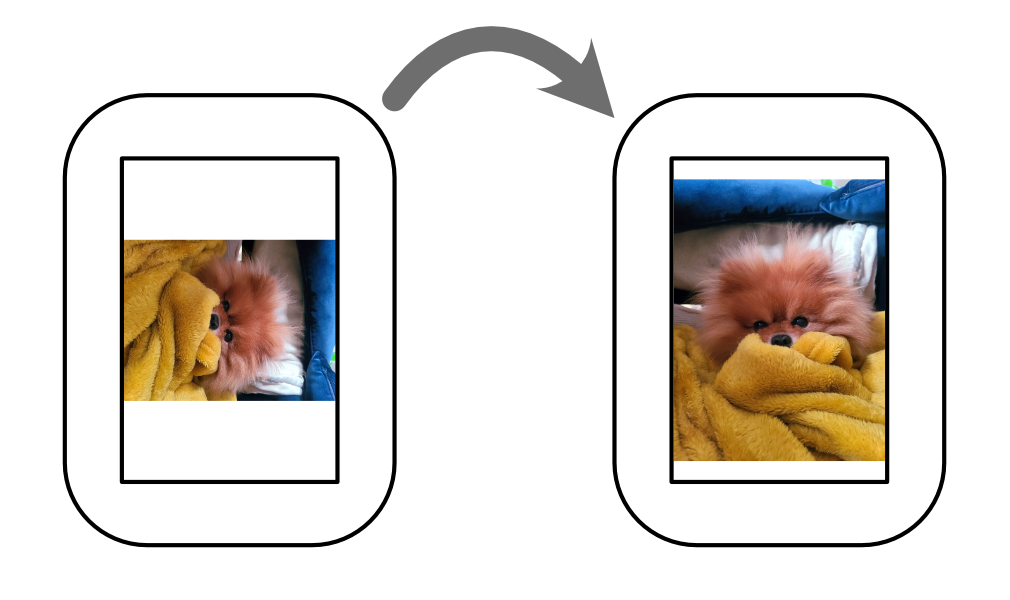 Diagram showing the adjustment of an image’s orientation.